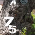 La imagen 2 de la Empresa CHAPAS Y HERRAJES DEL CENTRO Puertas y Ventanas en Querétaro QUE