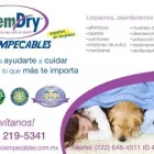 La imagen 3 de la Empresa CHEMDRY LOS IMPECABLES en Toluca De Lerdo MEX