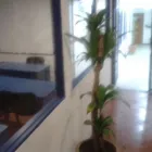 La imagen 5 de la Empresa CIA CENTRO DE IDIOMAS Y ASESORÍAS en Ciudad De México CMX