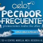 La imagen 6 de la Empresa CIELO BAR Transportes y Turismo en Morelia MIC