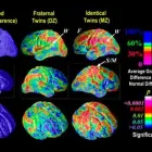 La imagen 2 de la Empresa CLÍNICA DE ELECTRO ENCEFALOGRAFÍA Salud y Medicina en Puebla MEX