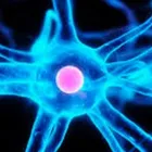 La imagen 3 de la Empresa CLÍNICA DE ELECTRO ENCEFALOGRAFÍA Salud y Medicina en Puebla MEX