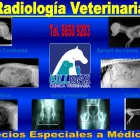 La imagen 9 de la Empresa CLÍNICA VETERINARIA BILLMAX Salud y Medicina en Ciudad De México CMX