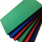 La imagen 7 de la Empresa COLCHONETAS COSIDAS Guarderías en Zapopan JAL