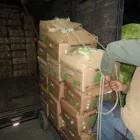 La imagen 5 de la Empresa COMERCIAL DEL CAMPO Tiendas de Autoservicio y Departamentales en Puebla MEX