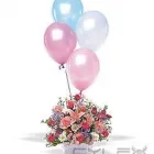 La imagen 1 de la Empresa COMERCIALIZADORA FLORERÍAS DEL SOL, S.A. DE C.V. Industrias y Agricultura en Ciudad De México CMX