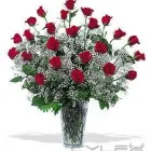 La imagen 2 de la Empresa COMERCIALIZADORA FLORERÍAS DEL SOL, S.A. DE C.V. Industrias y Agricultura en Ciudad De México CMX