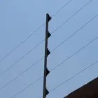 La imagen 8 de la Empresa COMERCIALIZADORA TORNI Y MAS... Industrias y Agricultura en San Mateo Atenco MEX