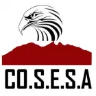La imagen 1 de la Empresa CONSORCIO DE SERVICIOS Y ESPECIALIDADES SA DE CV en Santa Catarina NLE