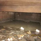 La imagen 13 de la Empresa CONSTRUCTORA FEROSEM DEL SURESTE S.A. DE C.V. Servicios Profesionales y de Negocios en Tapachula CHP