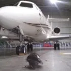 La imagen 1 de la Empresa CONTROL DE AVES AZTECA Tiendas de Autoservicio y Departamentales en Ciudad De México CMX