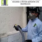 La imagen 3 de la Empresa CONTROL DE PLAGAS CHINCHE FUMIGACION Servicios Profesionales y de Negocios en Xalapa Enríquez VER