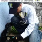 La imagen 4 de la Empresa CONTROL DE PLAGAS CHINCHE FUMIGACION Servicios Profesionales y de Negocios en Xalapa Enríquez VER