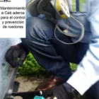 La imagen 5 de la Empresa CONTROL DE PLAGAS CHINCHE FUMIGACION Servicios Profesionales y de Negocios en Xalapa Enríquez VER