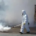 La imagen 3 de la Empresa CONTROL DE PLAGAS DOMESTICAS METAMORFOSIS Servicios Profesionales y de Negocios en Tijuana BCN