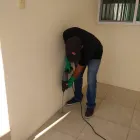 La imagen 5 de la Empresa CONTROL DE PLAGAS DOMESTICAS METAMORFOSIS Servicios Profesionales y de Negocios en Tijuana BCN