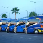 La imagen 2 de la Empresa CORA TRANSFERS Servicios Profesionales y de Negocios en San Jose Del Cabo BCS
