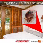 La imagen 1 de la Empresa CORPORATIVO PROFESIONAL FUMIPRO Servicios Profesionales y de Negocios en Cancún ROO