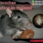 La imagen 2 de la Empresa CORPORATIVO PROFESIONAL FUMIPRO Servicios Profesionales y de Negocios en Cancún ROO