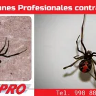 La imagen 4 de la Empresa CORPORATIVO PROFESIONAL FUMIPRO Servicios Profesionales y de Negocios en Cancún ROO