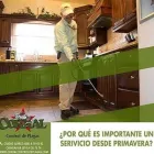 La imagen 1 de la Empresa CORRAL CONTROL DE PLAGAS Servicios Profesionales y de Negocios en Chihuahua MEX