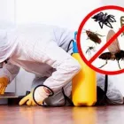 La imagen 3 de la Empresa CORRAL CONTROL DE PLAGAS Servicios Profesionales y de Negocios en Chihuahua MEX