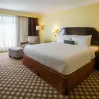 La imagen 12 de la Empresa COURTYARD BY MARRIOTT TOLUCA AIRPORT Transportes y Turismo en Toluca CMX