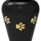 La imagen 1 de la Empresa CREMATORIO Y SERVICIOS VETERINARIOS Salud y Medicina en Torreon COA