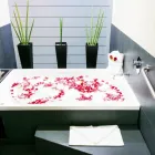 La imagen 64 de la Empresa CROWNE PLAZA TOLUCA-LANCASTER Transportes y Turismo en Metepec CMX