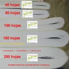 La imagen 1 de la Empresa CUADERNOS COSIDOS GOLFRAN en Ciudad De México CMX