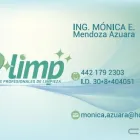 La imagen 1 de la Empresa D'LIMP Servicios Profesionales y de Negocios en Querétaro QUE