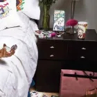 La imagen 6 de la Empresa DAEVA PERSONÁLIKA en Xalapa Enríquez VER