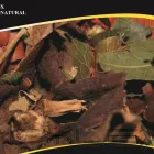 La imagen 1 de la Empresa DEGUSTARIZ en Puebla MEX