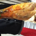 La imagen 2 de la Empresa DEGUSTARIZ en Puebla MEX