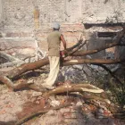 La imagen 3 de la Empresa DEMOLICIONES Y EXCAVACIONES CASTELLANOS Servicios Profesionales y de Negocios en Ciudad De México CMX