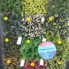 La imagen 1 de la Empresa DENMARK SHADES DECORACIÓN E INTERIORISMO Servicios Profesionales y de Negocios en Morelia MIC