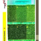 La imagen 7 de la Empresa DENMARK SHADES DECORACIÓN E INTERIORISMO Servicios Profesionales y de Negocios en Morelia MIC