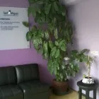 La imagen 3 de la Empresa DENTISTA en Cuautitlán Izcalli MEX