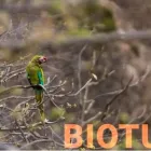 La imagen 1 de la Empresa DETCOTRAVEL Transportes y Turismo en Ciudad De México CMX