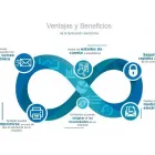 La imagen 1 de la Empresa DHD MX Servicios Profesionales y de Negocios en Acapulco De Juárez GRO