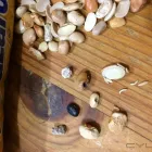 La imagen 2 de la Empresa DIGRANS, S.A. SAN LAZARO Maquinaria y Vehículos Agrícolas en Cuautitlán MEX