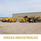 La imagen 3 de la Empresa DISEÑO INDUSTRIAL GRÚAS Servicios Profesionales y de Negocios en Ciudad Delicias CHH