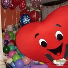 La imagen 16 de la Empresa DISFRACES EN PUEBLA Disfraces en Valle Dorado PUE