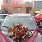 La imagen 1 de la Empresa DISTRIBUIDORA DE FLORES RAFA Industrias y Agricultura en San Luis Potosí SLP