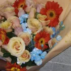 La imagen 2 de la Empresa DISTRIBUIDORA DE FLORES RAFA Industrias y Agricultura en San Luis Potosí SLP