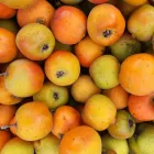 La imagen 1 de la Empresa DISTRIBUIDORA MARDIE PRODUCE Industrias y Agricultura en Huejotzingo PUE