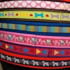 La imagen 3 de la Empresa DISTRIBUPETS Tiendas de mascotas en Ciudad De México CMX