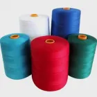 La imagen 3 de la Empresa DITEMO Merceria y Manualidades en Monterrey NLE