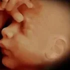 La imagen 2 de la Empresa DOCTOR FERNANDO ROSALES ELORDUY Salud y Medicina en Mexicali BCN