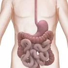 La imagen 3 de la Empresa DR. ALEJANDRO OLGUIN GUERRA Salud y Medicina en Poza Rica VER